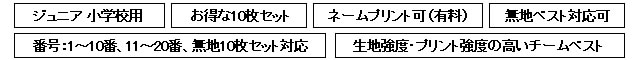 モルテン　ゲームベストジュニア（ビブス）　10枚セット
